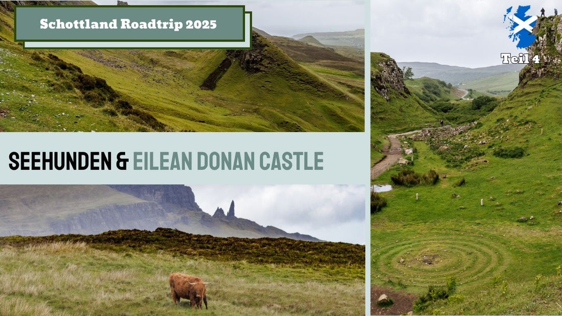 Wohnmobilreise Schottland  Teil 4  Fairy Glen, Highland-Rinder & Quiraing Walk