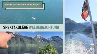 Camper Roadtrip Norwegen