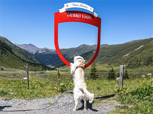 Main image Dayo an der Grand Tour of Switzerland – Fotoprint auf Alu-Dibond