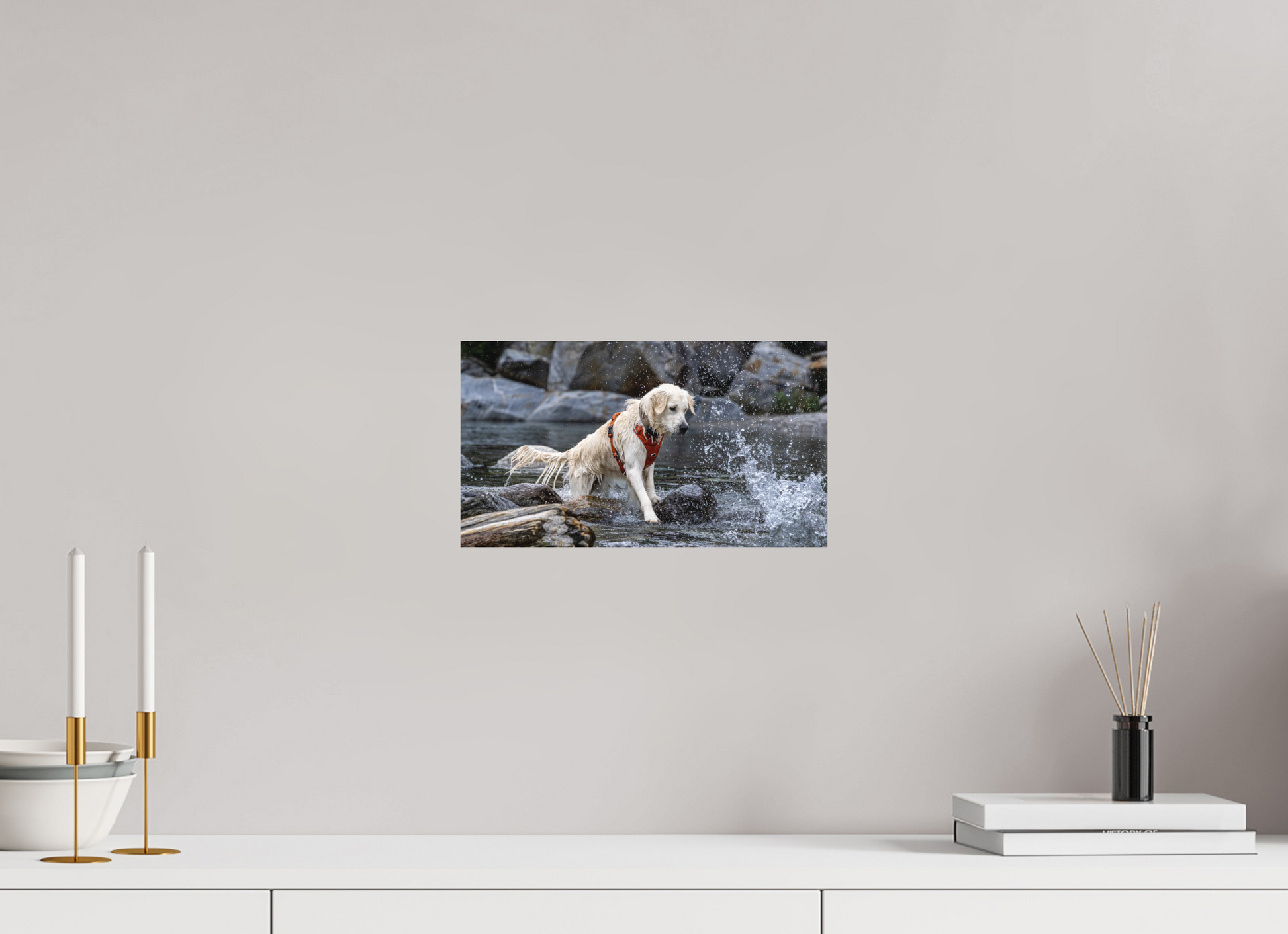 32 x 18 cm, Alu-Dibond matt – Standard Dayo im Wasser – Fotoprint auf Alu-Dibond
