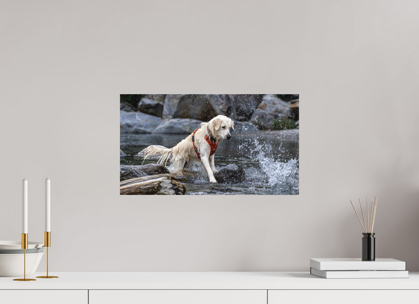 48 x 27 cm, Alu-Dibond matt – Standard Dayo im Wasser – Fotoprint auf Alu-Dibond