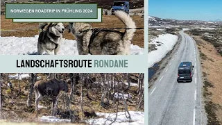 Landschaftsroute Rondane in Norwegen mit Straße, Bergen und Rentieren im Frühling