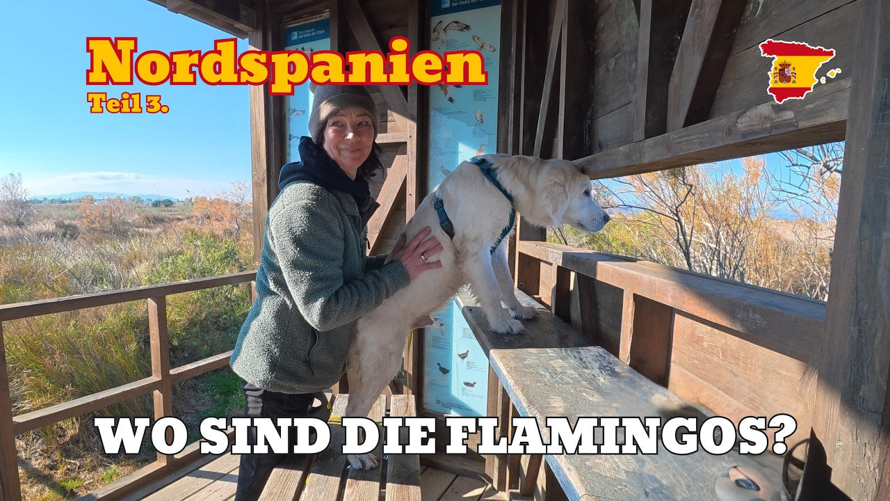 Dayo und Kirsten in einer Beobachtungshütte im Ebro Delta in Spanien auf der Suche nach Flamingos während einer Wohnmobilreise.